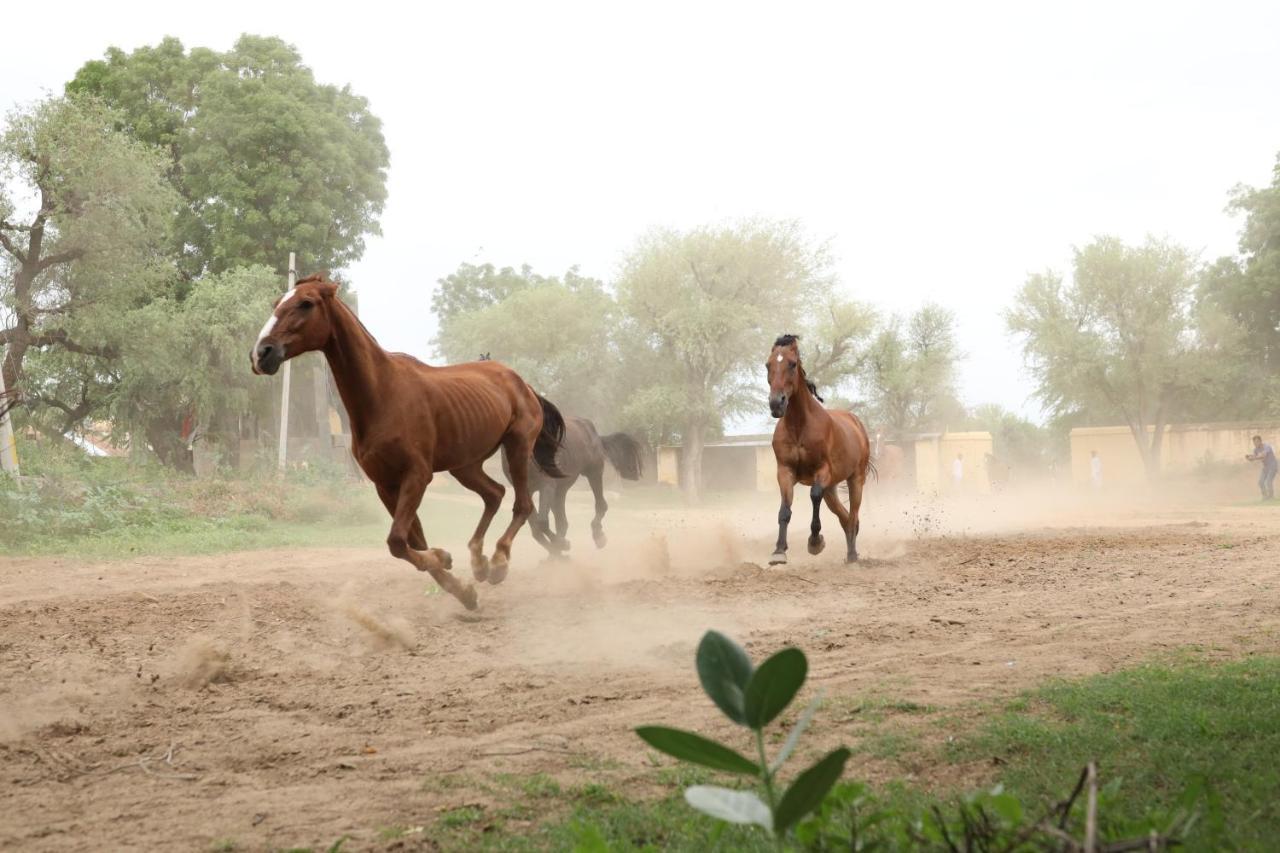 Roop Niwas Kothi, Near Mandawa Hotel Nawalgarh Bagian luar foto